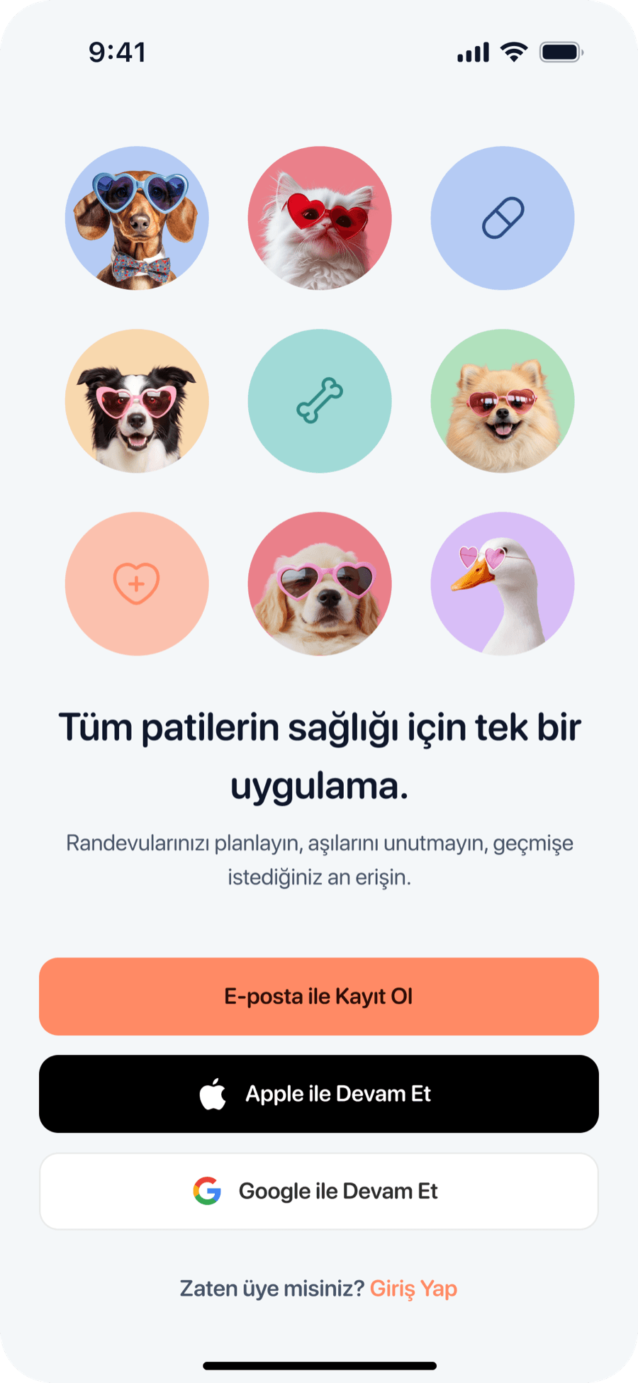 VetAsist mobil uygulamasının açılış ekranı